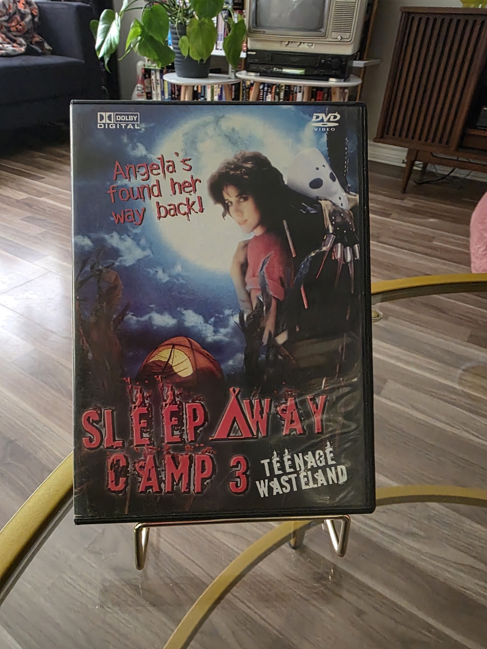 Sleepaway Camp 3: Teenage Wasteland DVD
